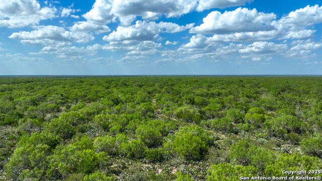 000 Cameron Ln, Fowlerton, Texas image 14