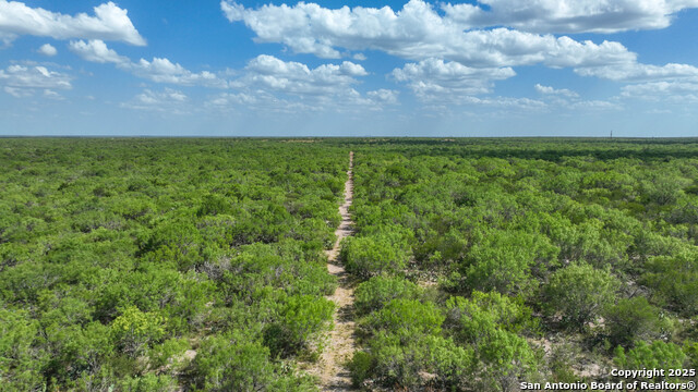 000 Cameron Ln, Fowlerton, Texas image 15