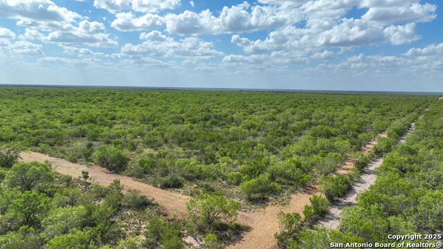 000 Cameron Ln, Fowlerton, Texas image 16
