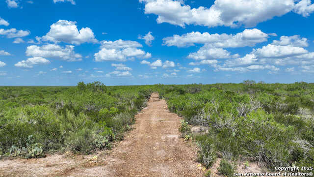000 Cameron Ln, Fowlerton, Texas image 2