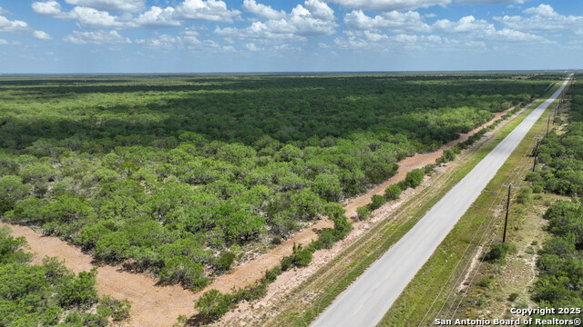 000 Cameron Ln, Fowlerton, Texas image 3