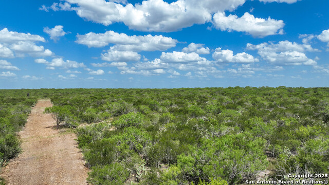000 Cameron Ln, Fowlerton, Texas image 6