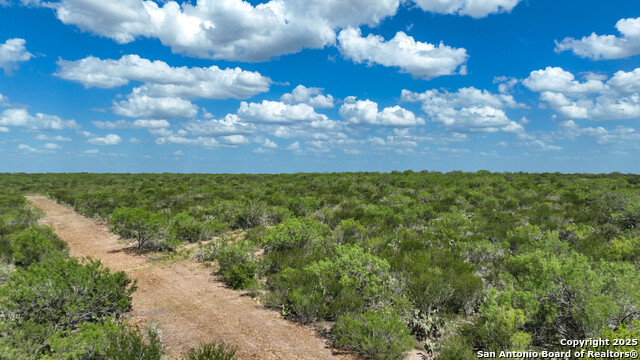 000 Cameron Ln, Fowlerton, Texas image 7