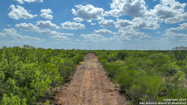 000 Cameron Ln, Fowlerton, Texas image 8