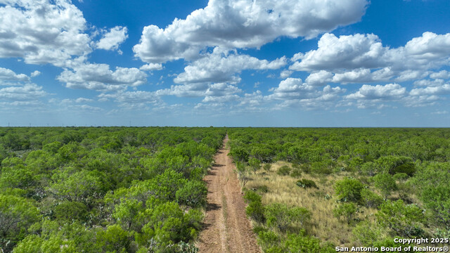 000 Cameron Ln, Fowlerton, Texas image 9