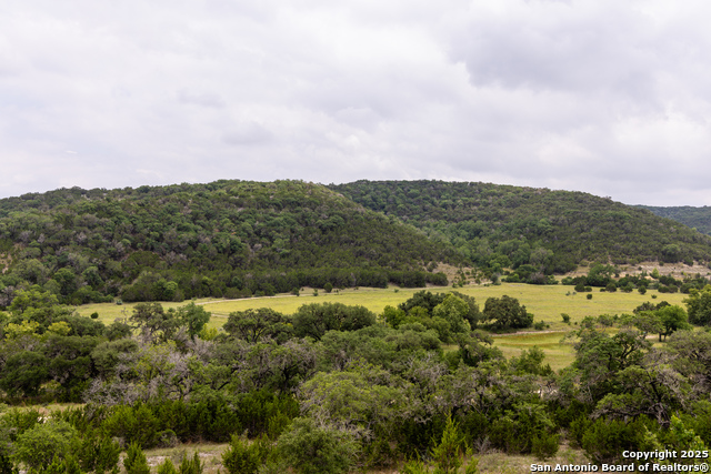 1634 Mickle Creek, Medina, Texas image 2