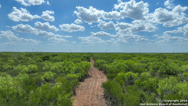 0000 Cameron Ln, Fowlerton, Texas image 10