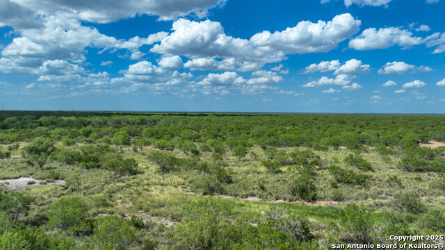 0000 Cameron Ln, Fowlerton, Texas image 13