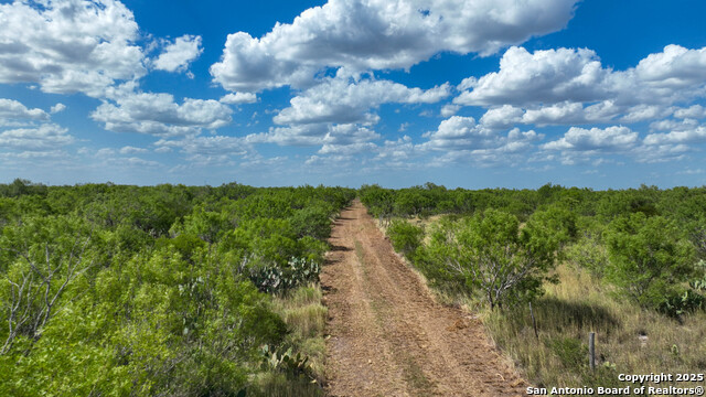 0000 Cameron Ln, Fowlerton, Texas image 14