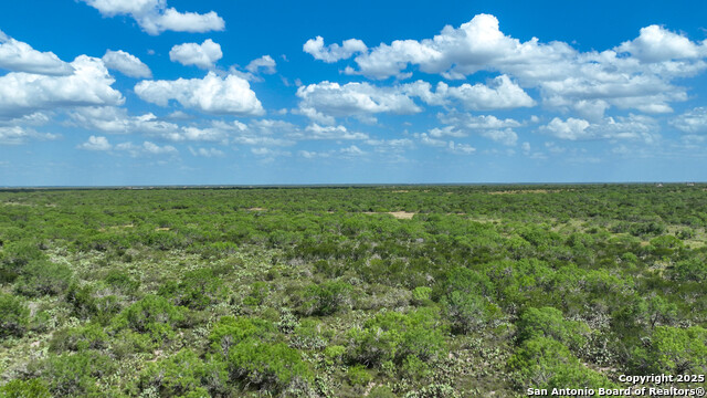 0000 Cameron Ln, Fowlerton, Texas image 15