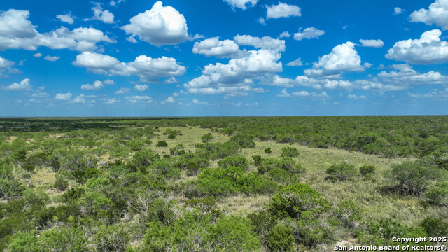 0000 Cameron Ln, Fowlerton, Texas image 16