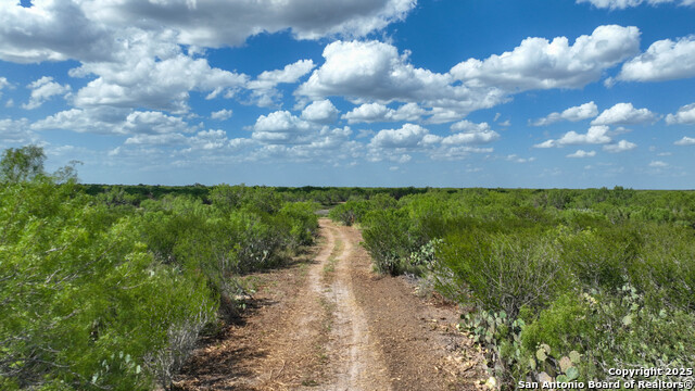 0000 Cameron Ln, Fowlerton, Texas image 8