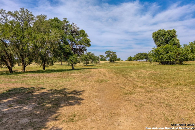 Fm 812, Cedar Creek, Texas image 10