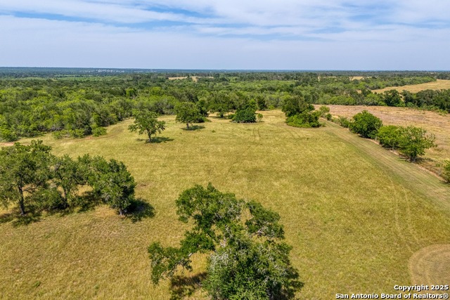 Fm 812, Cedar Creek, Texas image 16