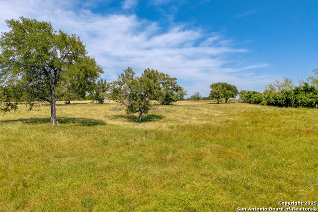 Fm 812, Cedar Creek, Texas image 18