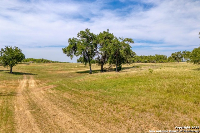 Fm 812, Cedar Creek, Texas image 19