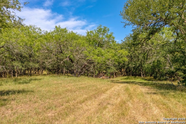 Fm 812, Cedar Creek, Texas image 20