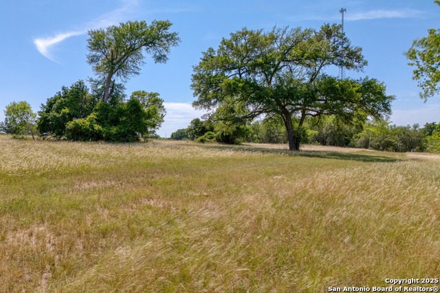 Fm 812, Cedar Creek, Texas image 21