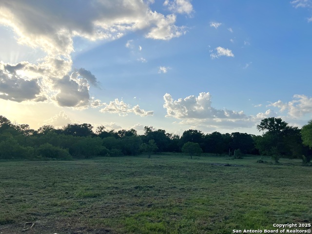 124 Valley Creek, Cedar Creek, Texas image 10