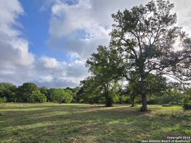 124 Valley Creek, Cedar Creek, Texas image 11