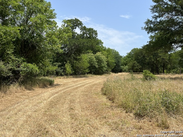 124 Valley Creek, Cedar Creek, Texas image 12
