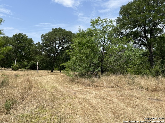 124 Valley Creek, Cedar Creek, Texas image 13
