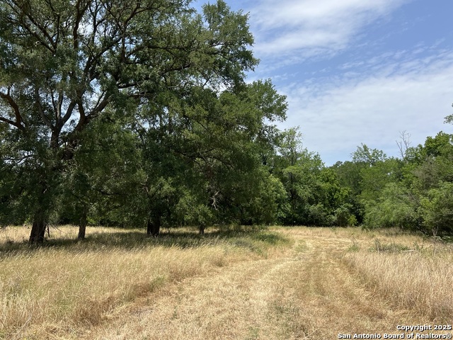 124 Valley Creek, Cedar Creek, Texas image 15