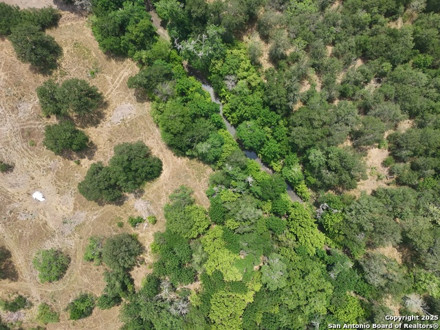 124 Valley Creek, Cedar Creek, Texas image 6