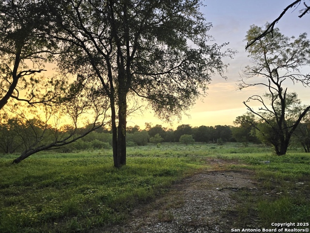 124 Valley Creek, Cedar Creek, Texas image 8