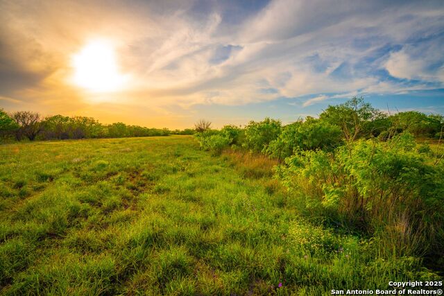 3305 Cr 129, Pawnee, Texas image 1
