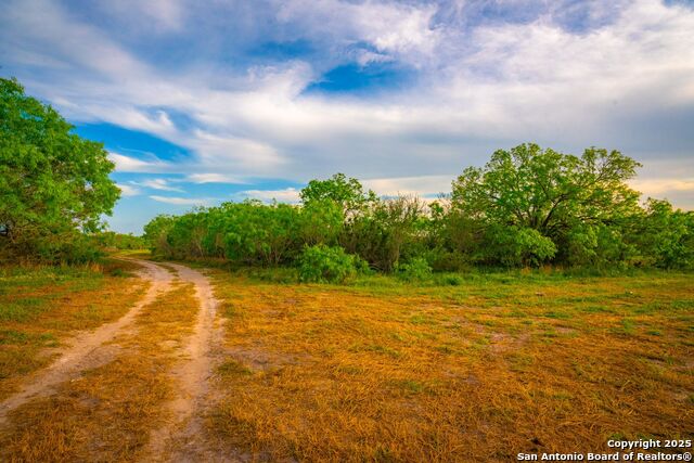 3305 Cr 129, Pawnee, Texas image 11