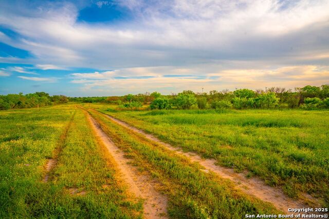 3305 Cr 129, Pawnee, Texas image 12
