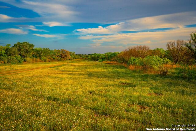 3305 Cr 129, Pawnee, Texas image 13