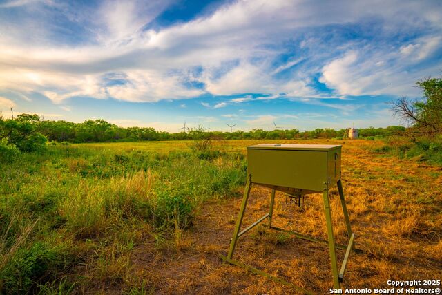 3305 Cr 129, Pawnee, Texas image 15