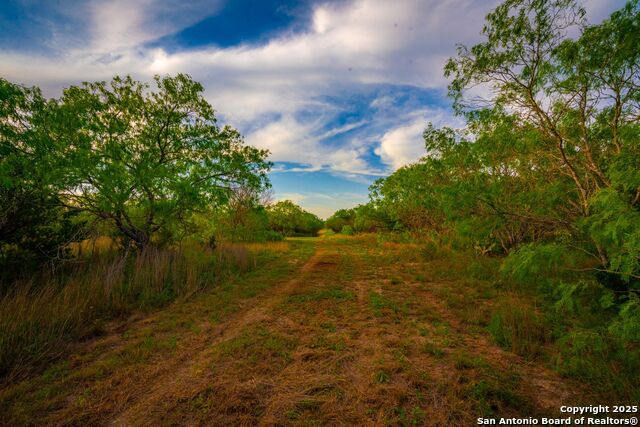 3305 Cr 129, Pawnee, Texas image 16