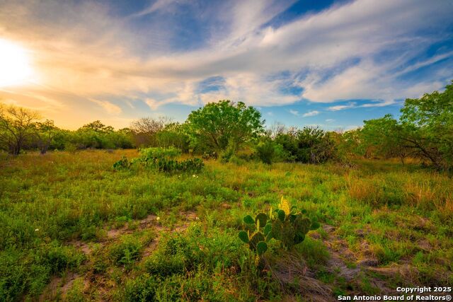 3305 Cr 129, Pawnee, Texas image 17
