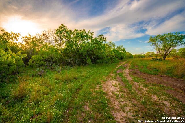 3305 Cr 129, Pawnee, Texas image 18