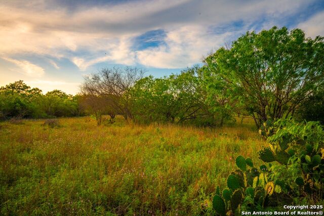 3305 Cr 129, Pawnee, Texas image 2