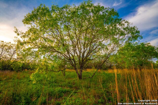 3305 Cr 129, Pawnee, Texas image 21