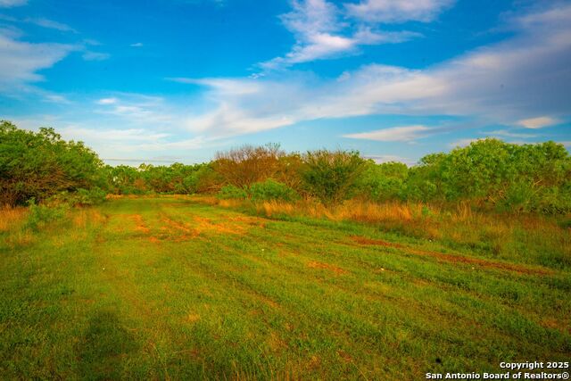 3305 Cr 129, Pawnee, Texas image 22