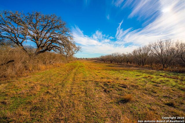 3305 Cr 129, Pawnee, Texas image 23