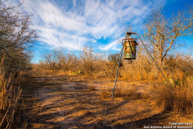 3305 Cr 129, Pawnee, Texas image 24