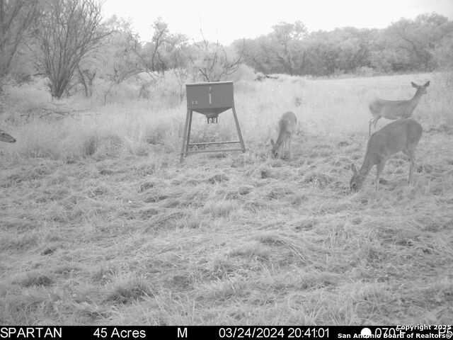 3305 Cr 129, Pawnee, Texas image 25