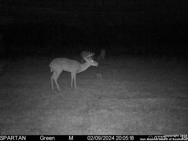 3305 Cr 129, Pawnee, Texas image 26