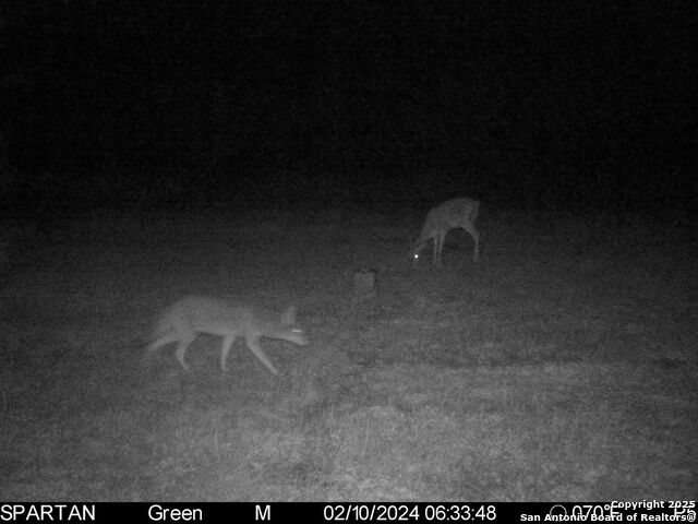 3305 Cr 129, Pawnee, Texas image 27