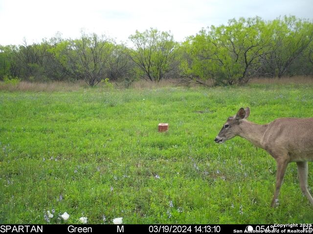 3305 Cr 129, Pawnee, Texas image 28