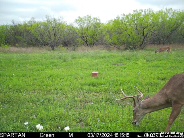 3305 Cr 129, Pawnee, Texas image 29