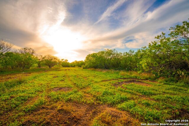 3305 Cr 129, Pawnee, Texas image 3