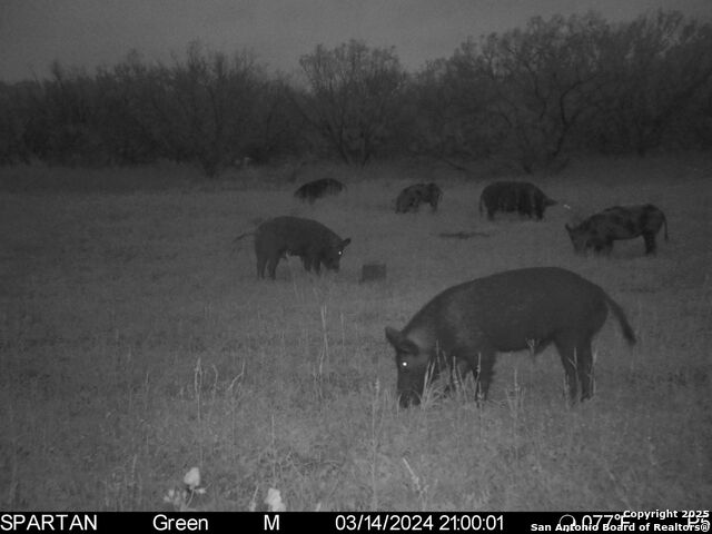 3305 Cr 129, Pawnee, Texas image 30