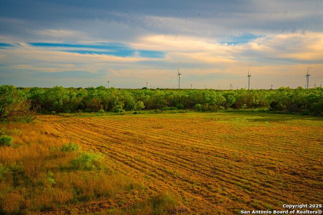 3305 Cr 129, Pawnee, Texas image 4